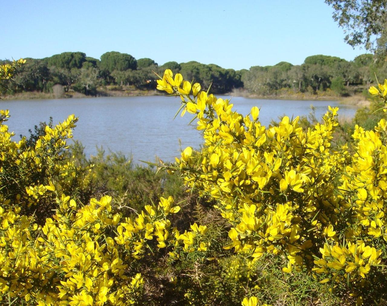מלון Lavre Monte Dos Arneiros מראה חיצוני תמונה
